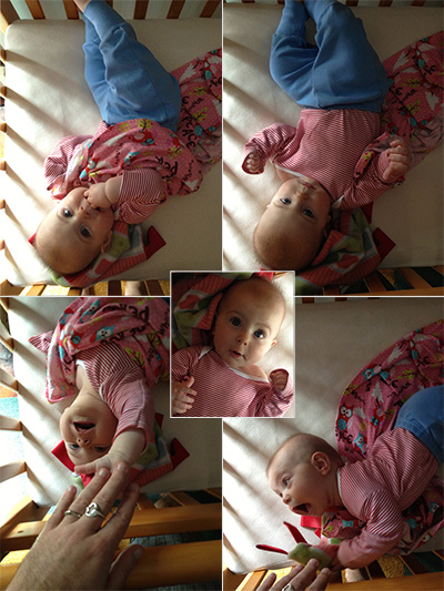 crib_shots